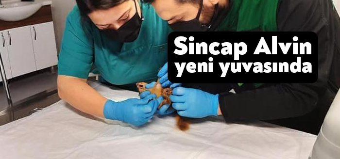 Kocaeli Haber – Kocaeli’de sevimli halleriyle herkesin yüzünde tebessüm oluşturan