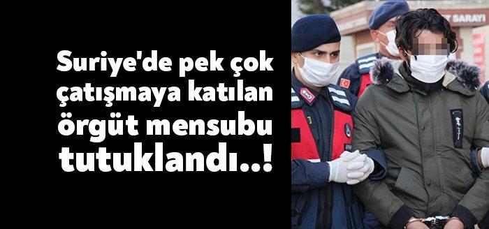 Kocaeli Haber -Kocaeli'de jandarma ekiplerinin operasyonuyla yakalanan, Suriye'de PKK/YPG terör