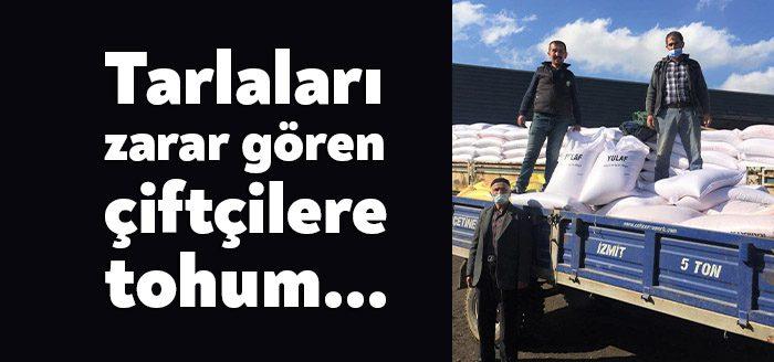 Kocaeli Haber - Büyükşehir Belediyesi, mayıs ayında Derince ilçesinde ekili