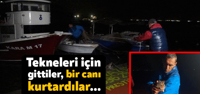 Kocaeli Haber - Kocaeli’nin Darıca ilçesinde etkili olan fırtına sonrasında