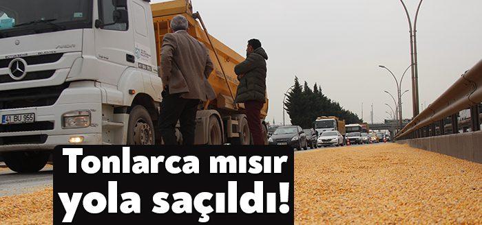 Kocaeli'nin İzmit ilçesinde seyir halindeki mısır yüklü kamyonun kapağı açılınca