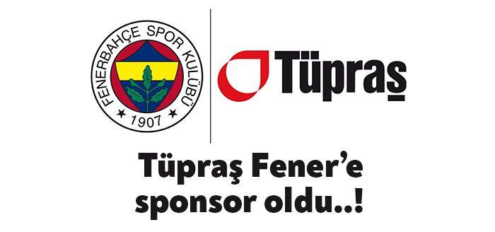 Kocaeli Haber - Fenerbahçe Kulübünün kürek, boks, masa tenisi, yüzme
