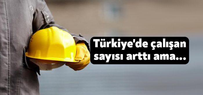 Kocaeli Haber - Türkiye İstatistik Kurumu (TÜİK) tarafından açıklanan verilere