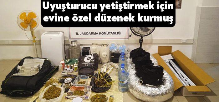 Kocaeli Haber -Kocaeli’nin Gebze ilçesinde uyuşturucu madde yetiştirmek için evine