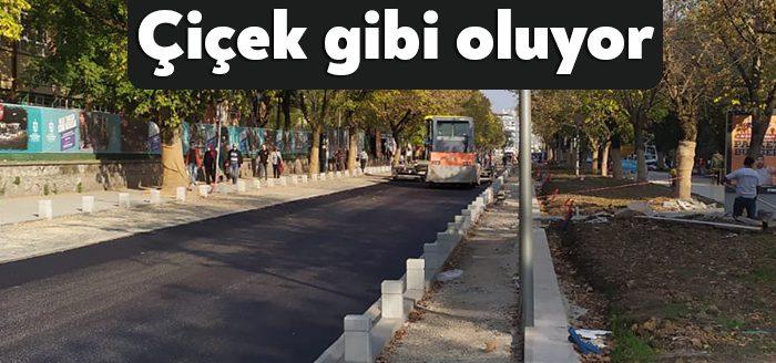 Kocaeli Haber - İzmit Yeni Yürüyüş Yolu Projesi kapsamında Atatürk