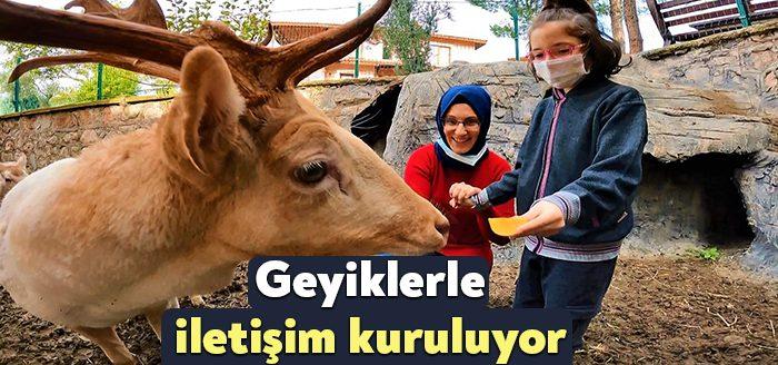 Kocaeli Haber- Kocaeli’de özel bir eğitim ve rehabilitasyon merkezinde özenle