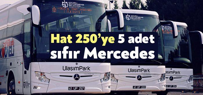 Kocaeli Haber- Kocaeli Büyükşehir Belediyesi, Sabiha Gökçen Havaalanı hattında hizmet
