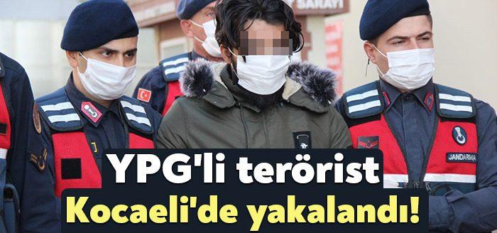 Kocaeli Haber- Sözde "Suriye demokratik güçleri" yalanı adı altında PKK/YPG