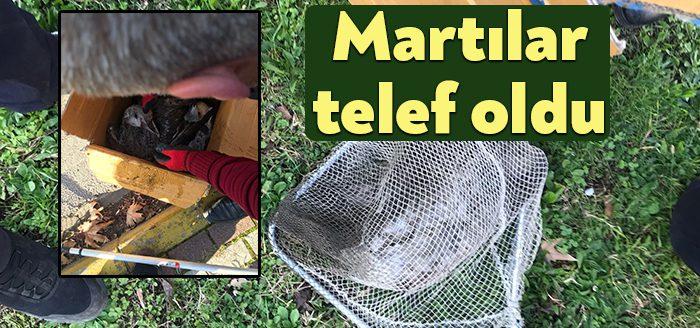 Kocaeli Haber-Kocaeli’de tenis kortunun dışını kaplayan filelere yaklaşık 10 martı