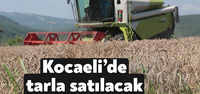 Kocaeli Haber- Kocaeli Çevre ve Şehircilik İl Müdürlüğü Kandıra, Kartepe