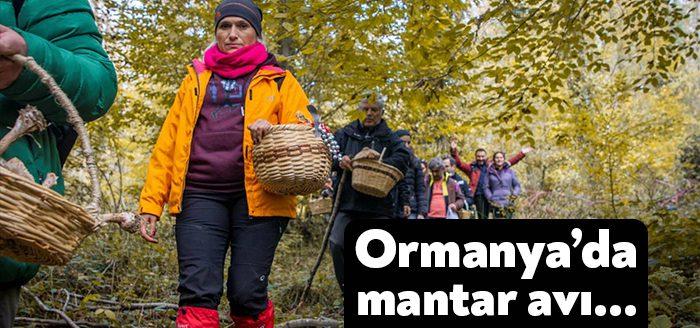 Kocaeli Haber - Kocaeli’nin ilk mantar avı Ormanya’da gerçekleştirilirken, çok