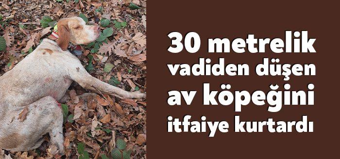 Kocaeli itfaiyesi bugün sabah saatlerinde Kandıra'da bir kurtarma operasyonu gerçekleştirdi.