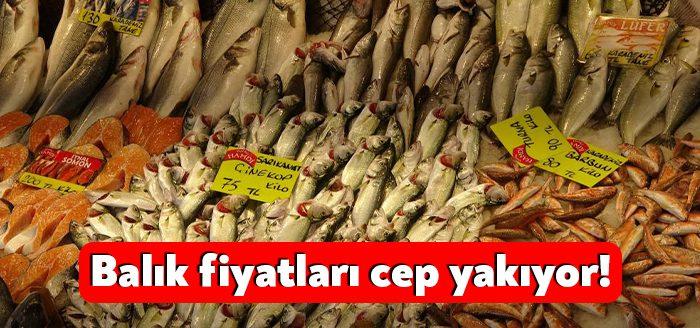 Bu yılın en çok tercih edilen balıklarından sarıkanatın kilosu 80
