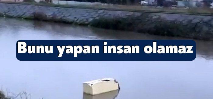 Kocaeli Büyükşehir Belediyesi'nin sosyal medya hesabında dereye atılan buzdolabının görüntüsü,