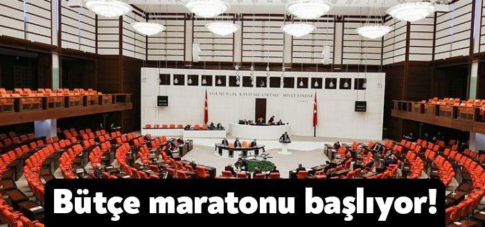 Meclis'in, bugün başlayıp kesintisiz 12 gün sürecek 2022 yılı bütçe