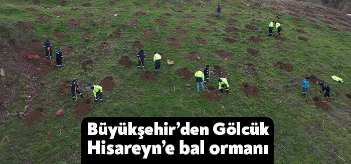Büyükşehir, Gölcük Hisareyn’deki dolgu alanına arıların bal yapmasına uygun tipteki