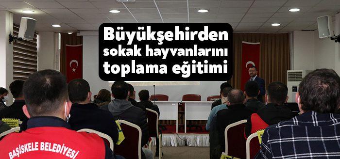 Kocaeli Büyükşehir Belediyesi, ilçe belediyelerinden 42 personele sokak hayvanlarını yakalama