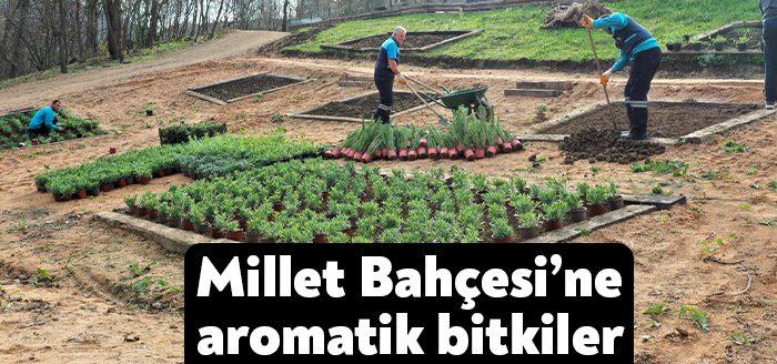 Vatandaşların evlerinin ön kapısının kent merkezine, arka kapısının da doğaya