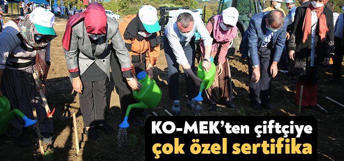 Katma değeri yüksek Tıbbı Aromatik Bitki Yetiştiriciliği branşında KO-MEK’in açtığı