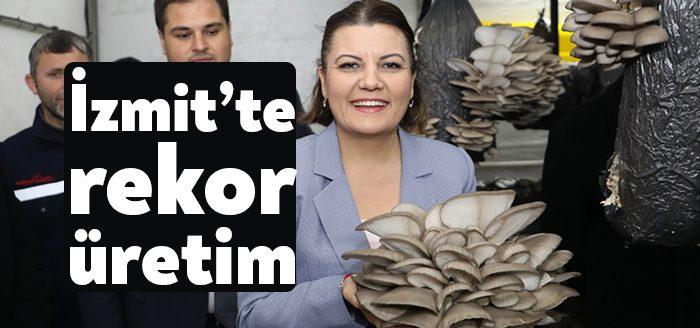 İzmit Belediyesi, Kırsal Hizmetler Müdürlüğü’nün Modern Hayvan Pazarı’nda kurulan mantar
