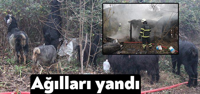 Kocaeli’nin Kartepe ilçesinde ağılda çıkan yangın itfaiye ekipleri tarafından söndürüldü.