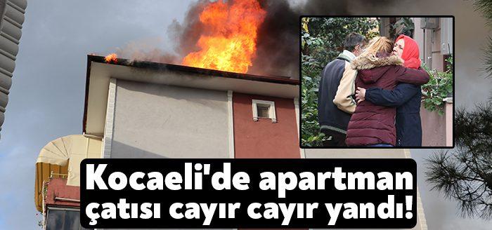 Kocaeli Haber-  Kocaeli'de 5 katlı binanın çatısında yapılan izolasyon çalışması