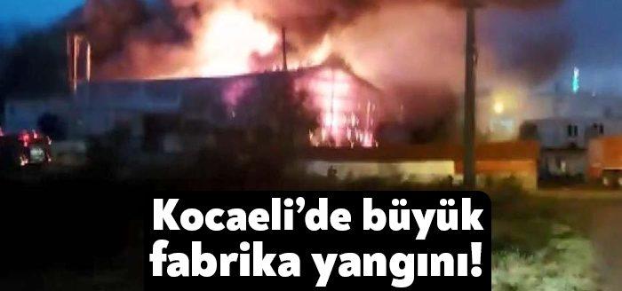 Kocaeli'de bulunan bir fabrikanın kapalı alanında yangın çıktı. Ekiplerin yangını