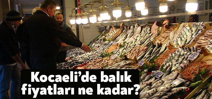 Havaların soğumasıyla birlikte denizlerde balık bolluğu yaşanırken, tezgahlar ise çeşit