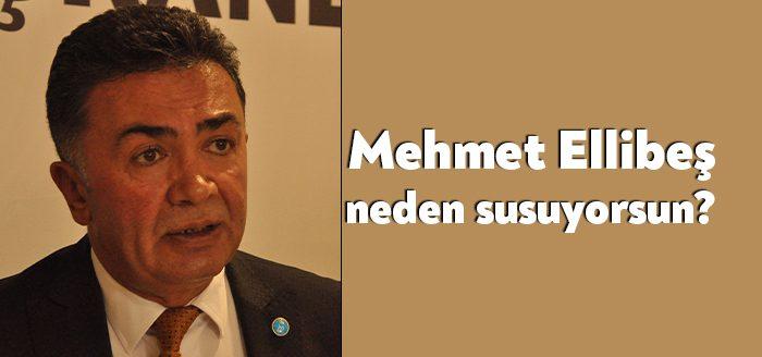 İYİ Parti Kocaeli İl Başkanı Şanbaz Yıldız, Dilovası’ndan yurtdışına çıkan