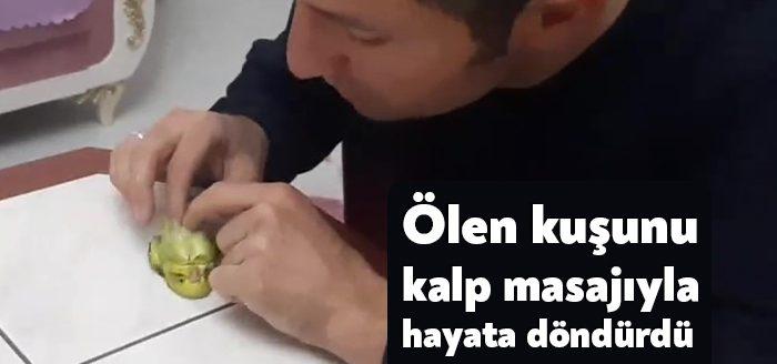 Kocaeli’nin Darıca ilçesinde yaşayan bir vatandaş, evladı gibi baktığı muhabbet