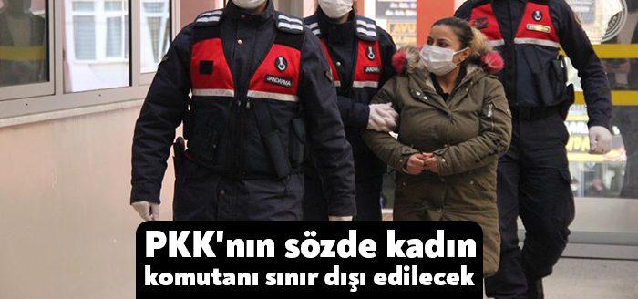 Zeytindalı Harekatı’ndan önce kaçıp farklı yerlere sığınan ve PKK/YPJ üyesi