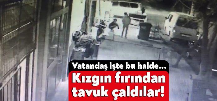 Kocaeli'nin Körfez ilçesinde iki genç, pişme fırınının içinden tavuk çaldı.