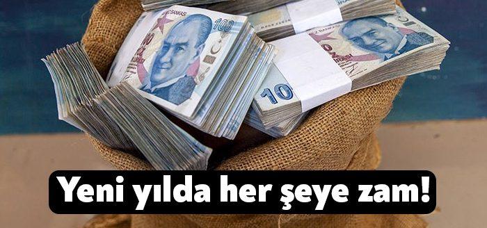 Yılbaşından itibaren pasaport defteri 180 liradan 225 liraya, kimlik kartı