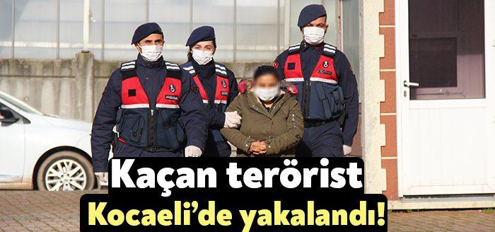 Zeytindalı Harekatı’nda kaçıp farklı yerlere sığınınan PKK/YPJ üyesi şahıs Darıca'da