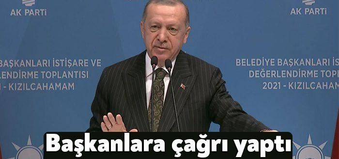 Belediye başkanlarına sokak hayvanları konusunda çağrı yapan Cumhurbaşkanı Erdoğan, "Sahipsiz