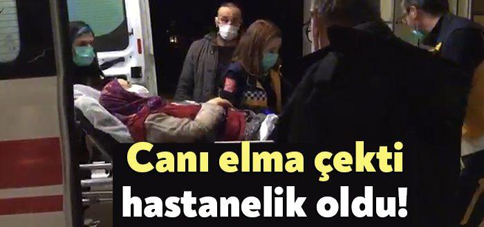 Kocaeli’nin Kandıra ilçesinde bir şahıs, elma toplamak için çıktığı ağaçtan