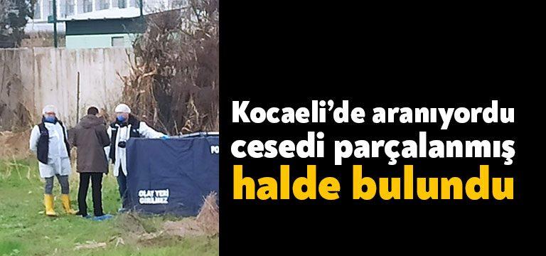 Bursa’da terminal arkasındaki yeşil alanda yarısı köpekler tarafından parçalanmış erkek