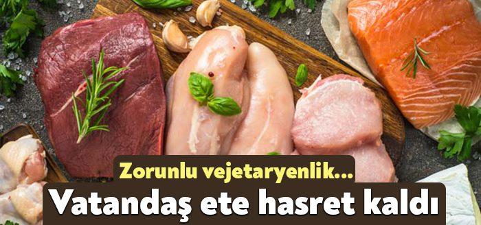 Temel besin maddelerinden olan proteinin en önemli kaynaklarından et ürünlerindeki