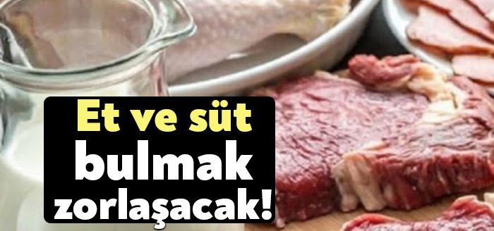 Tüm Süt, Et ve Damızlık Sığır Yetiştiricileri Derneği (TÜSEDAD) yaptığı
