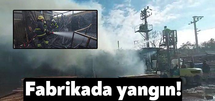 Kocaeli’nin Gebze ilçesinde bir kereste fabrikası alevlere teslim oldu. Yangın