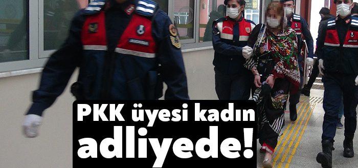 Kocaeli'de PKK/YPG/YPJ terör örgütü üyesi olduğu belirlenen ve jandarma ekipleri