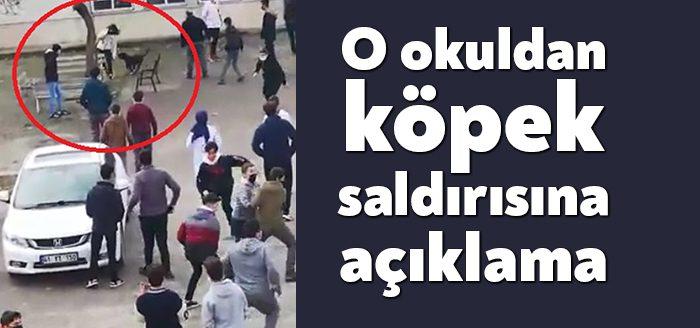 Kocaeli Haber- Kocaeli’nin Darıca ilçesinde bir lisenin bahçesine dalan pitbull