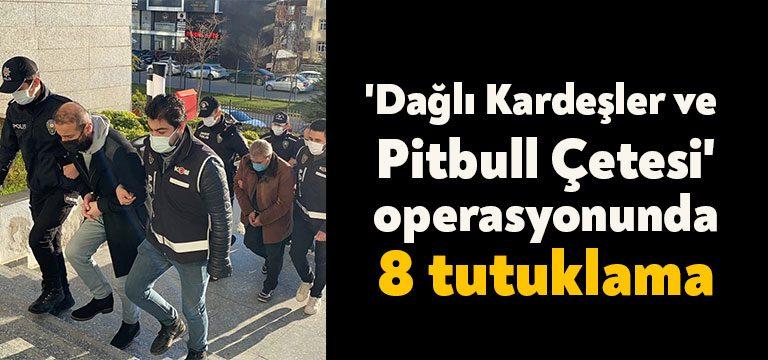 Kocaeli’de 'Dağlı Kardeşler ve Pitbull Çetesi' adı altında organize olan