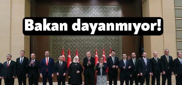 2018’de Türkiye’de hayata geçen Türk tipi başkanlık sisteminde ‘görevden affını