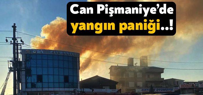 Kocaeli'nin Başiskele ilçesinde yer alan Can Pişmaniye binasının hemen arkasından