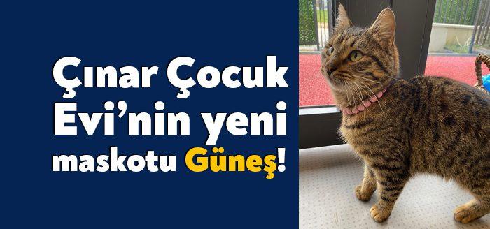 Açıldığı günden itibaren vatandaşlardan yoğun ilgi gören Yeşilova Çınar Çocuk