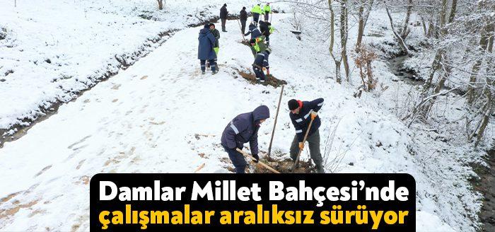 Doğaya saygılı, insan odaklı doğal ve güzel işler ile Başiskele’de