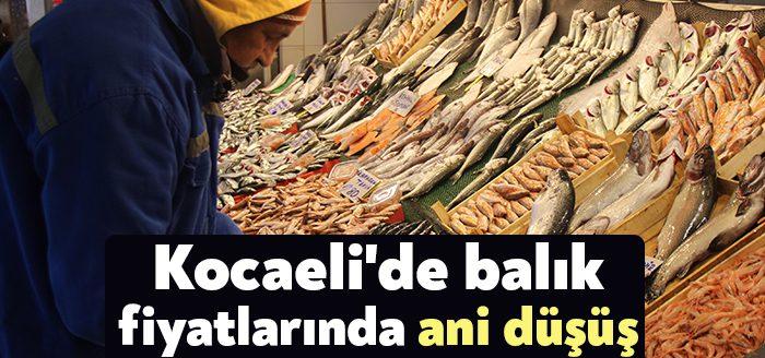 Kocaeli'de geçtiğimiz günlerde etkili olan olumsuz hava koşulları, balık fiyatlarının
