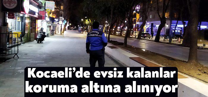 Kocaeli Büyükşehir Belediyesi Zabıta ekipleri, denetimler sırasında sokakta kalan 4