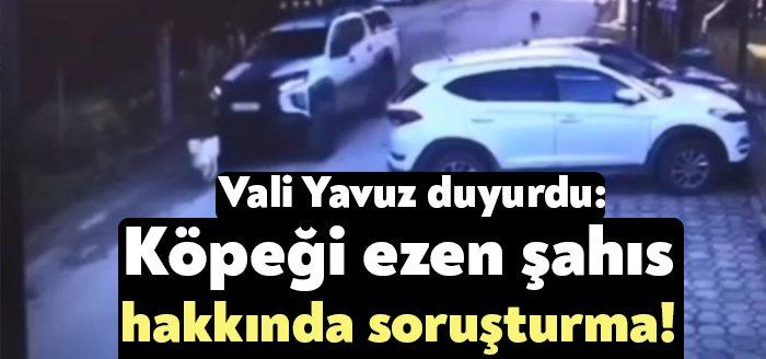 Kocaeli'nin İzmit ilçesinde bir sokak köpeği, sürücüsü öğrenilemeyen cip tarafından